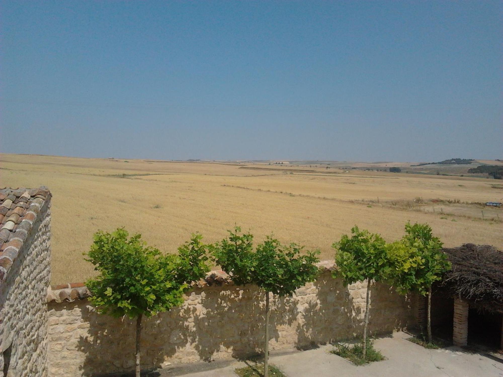 Pago De Trascasas Βίλα Cubillas de Santa Marta Εξωτερικό φωτογραφία